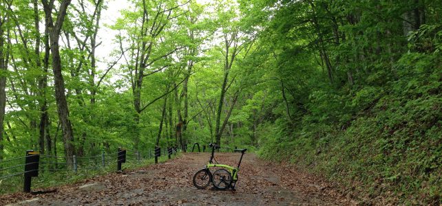 新緑の桧原湖&猪苗代湖